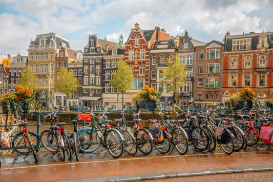 The Coffee Passport: The Netherlands